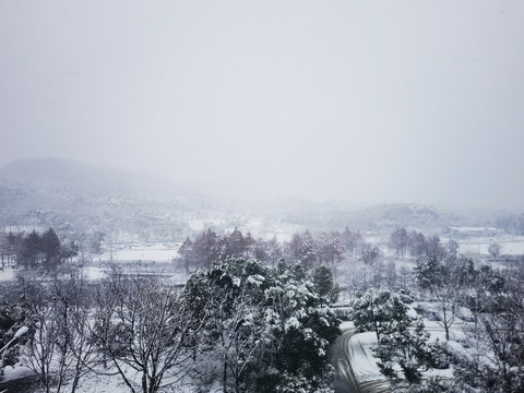 江南雪
