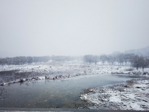 江南春雪