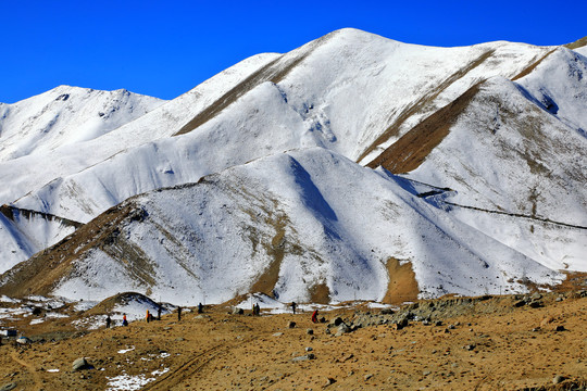 仰望雪山