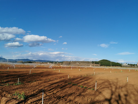 土地田间地头红土地基本农田