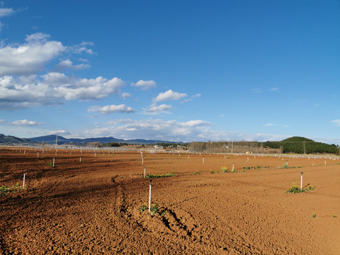 土地田间地头红土地基本农田