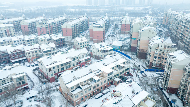 天津雪景