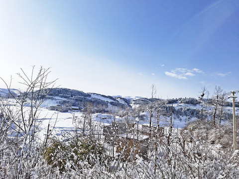 冬日雪景