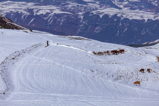 昭通大山包冬季雪山自然风光