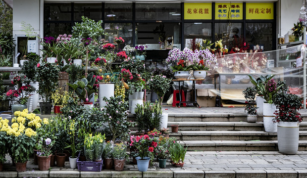 花店展示