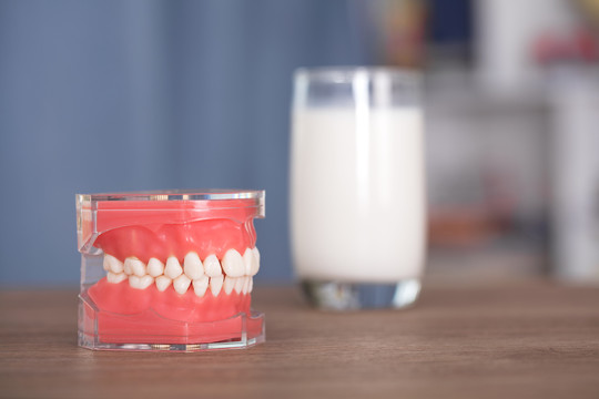 牙齿模型在一杯牛奶上