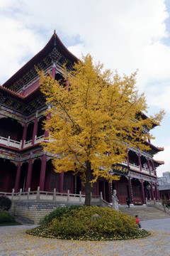 西普陀寺