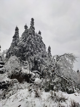 雪景