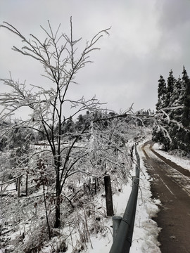 雪中的公路