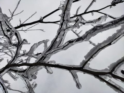 家乡的雪景