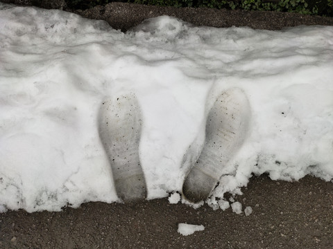 雪中的脚印