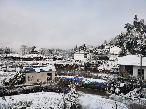 家乡的雪景