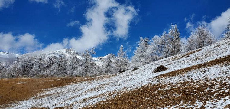 四姑娘山