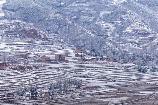 蜿蜒田野民居雪