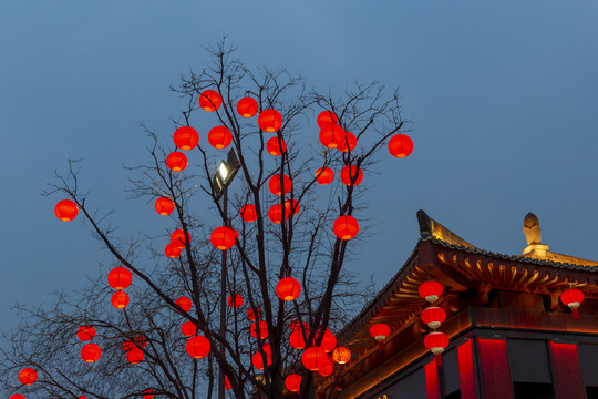 西安大雁塔北广场夜景灯笼