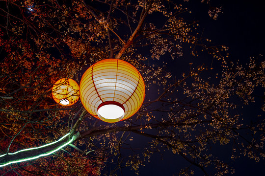 西安灯笼夜景风光路灯