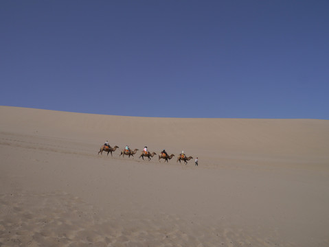 沙漠中的驼队