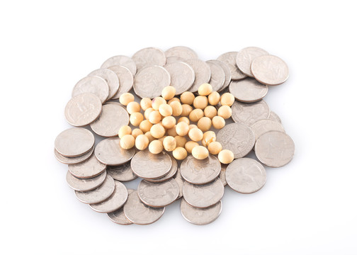 一堆美元硬币上一堆黄豆种子