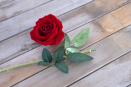 红玫瑰花朵在木纹背景上