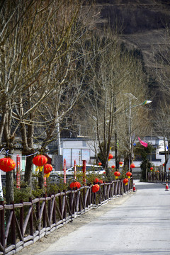 春节乡村