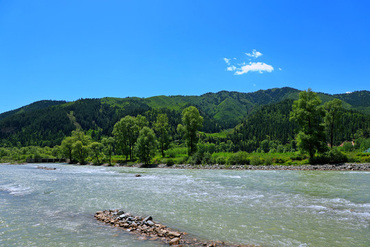 大通河