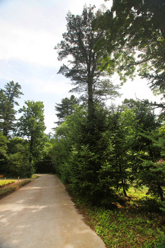 公路