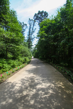 路