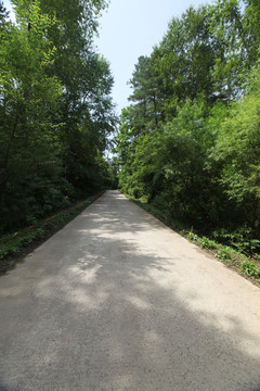 公路