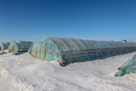 雪地大棚