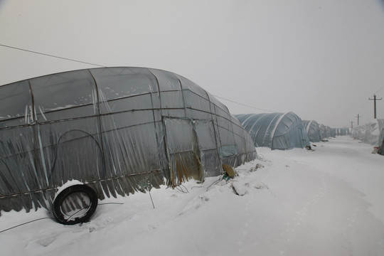 雪地大棚