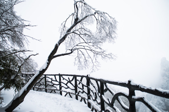 张家界天门山雪景