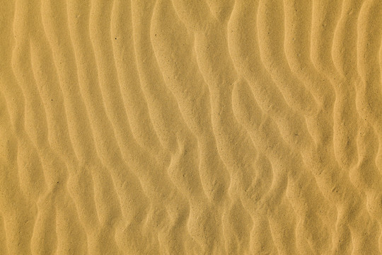 沙洲