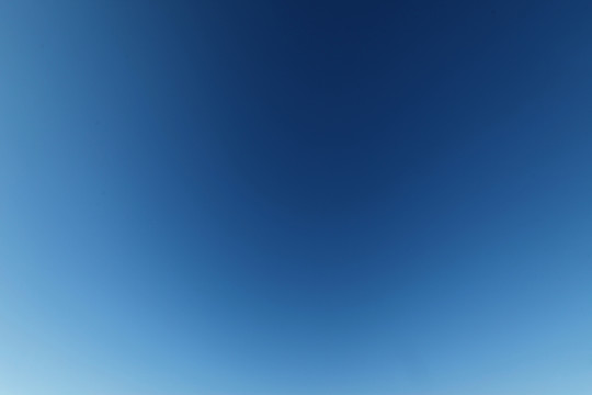 蓝天鸽子