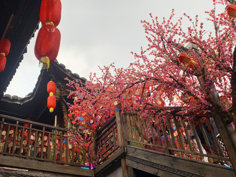走廊桃花