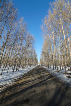 冬季乡村路
