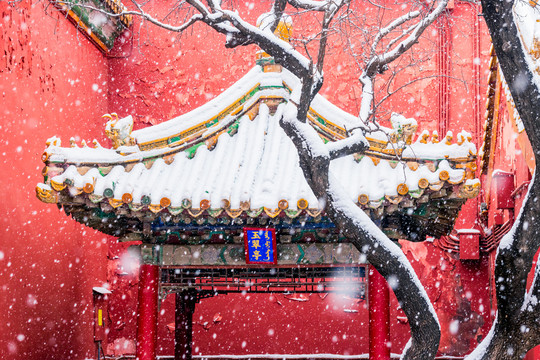 雪后故宫