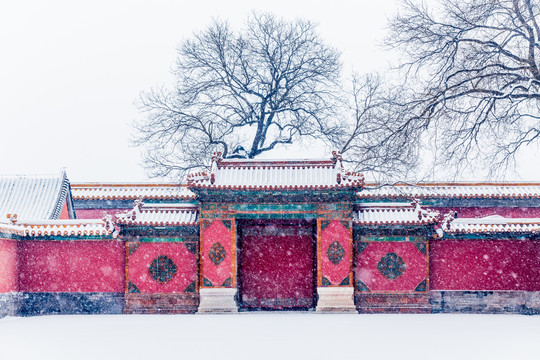 雪中的故宫