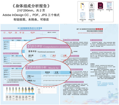 身体组成分析报告