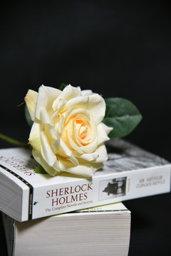 蔷薇和书