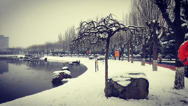雪景树和湖