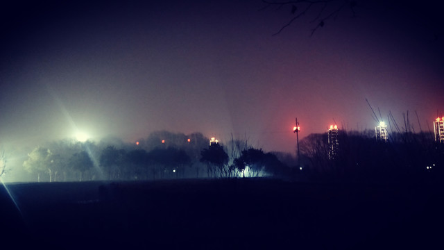 雾中微光