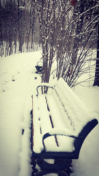 雪中公园的椅子
