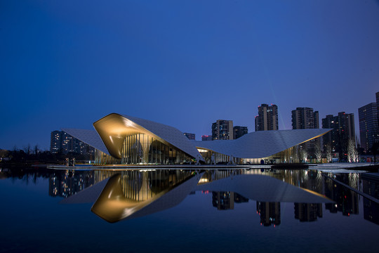 中国四川省成都天府美术馆夜景