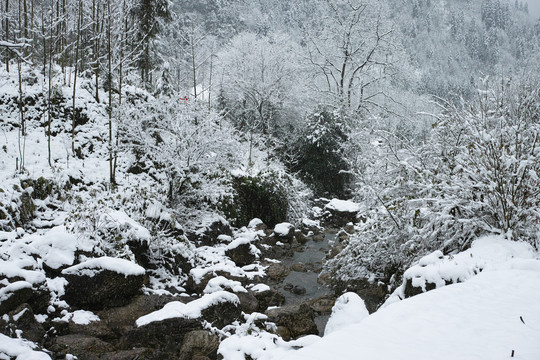 山里雪景