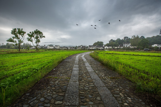 烟雨宏村