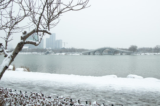 雪景