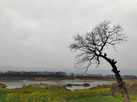 小桥流水人家