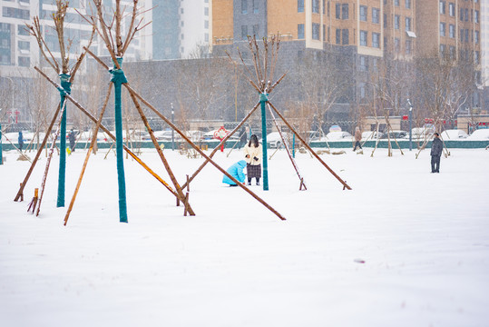 下雪的海绵城市口袋公园