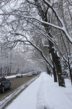 雪后景色