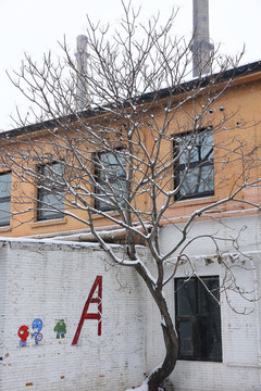 雪后街景